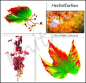Preview: Adventskalender * Herbstkomposition * - auch Farbverlauf