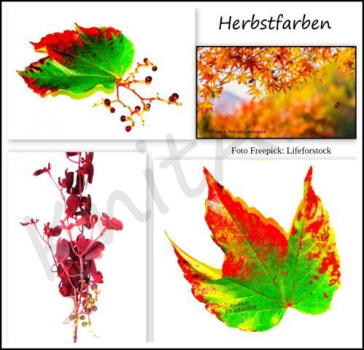 Adventskalender * Herbstkomposition * - auch Farbverlauf