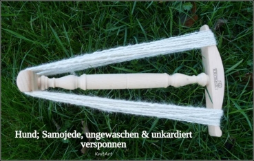 Edelfaser Samojede, Hund - weiss