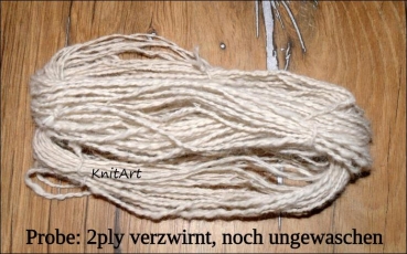 Edelfaser Samojede, Hund - weiss