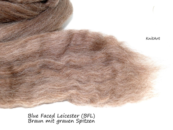 Blue Faced Leicester (BFL) Braun