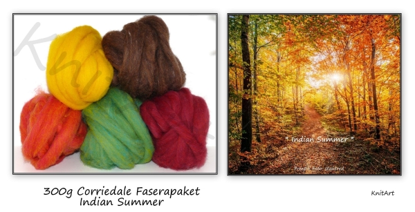 300g Corrdiedale Kardenband, Faserpaket Indian Summer