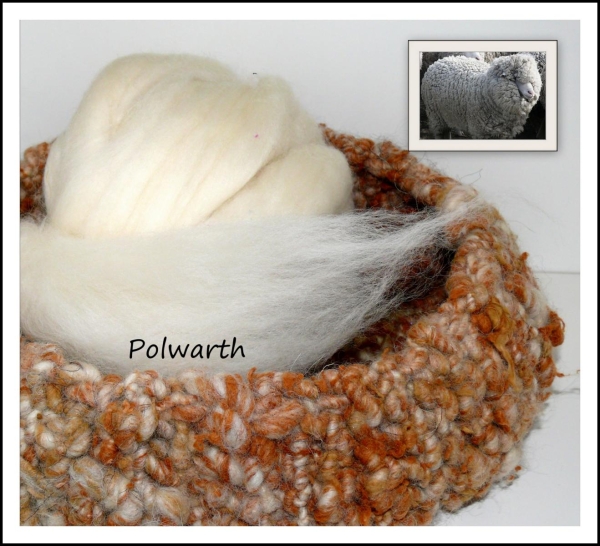 Polwarth Top, Weiss