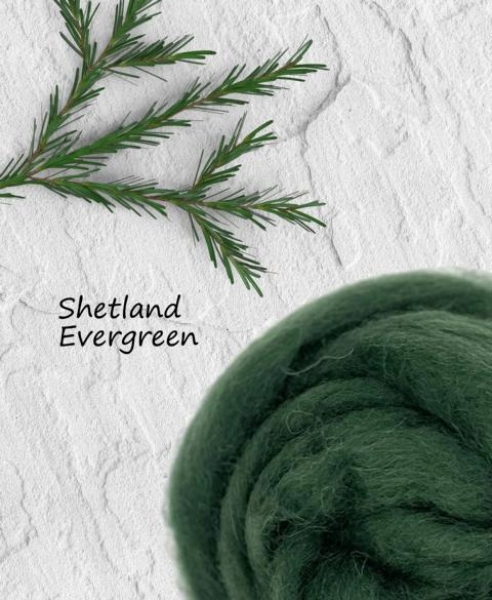 Shetland, Evergreen - Immergrün