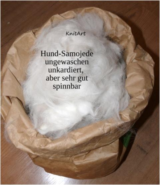 Edelfaser Samojede, Hund - weiss