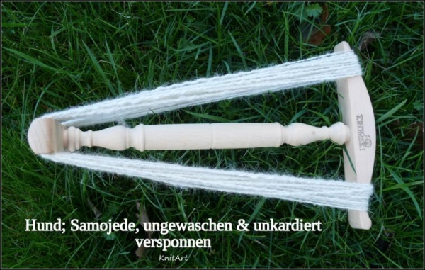 Edelfaser Samojede, Hund - weiss