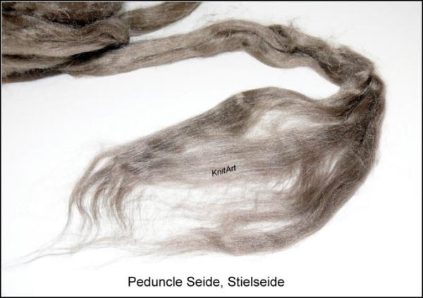 Peduncle Seide - Stielseide, Braun