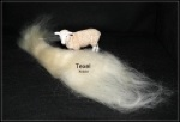 Texel Faser, weiss - eher Eierschale