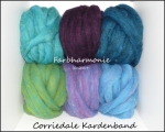 300g Corriedale Kardenband Faserpaket, Farbharmonie